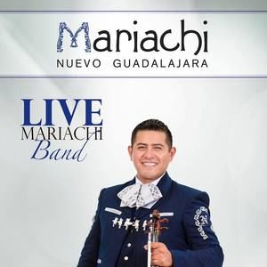 Meet your Posher, Miguel